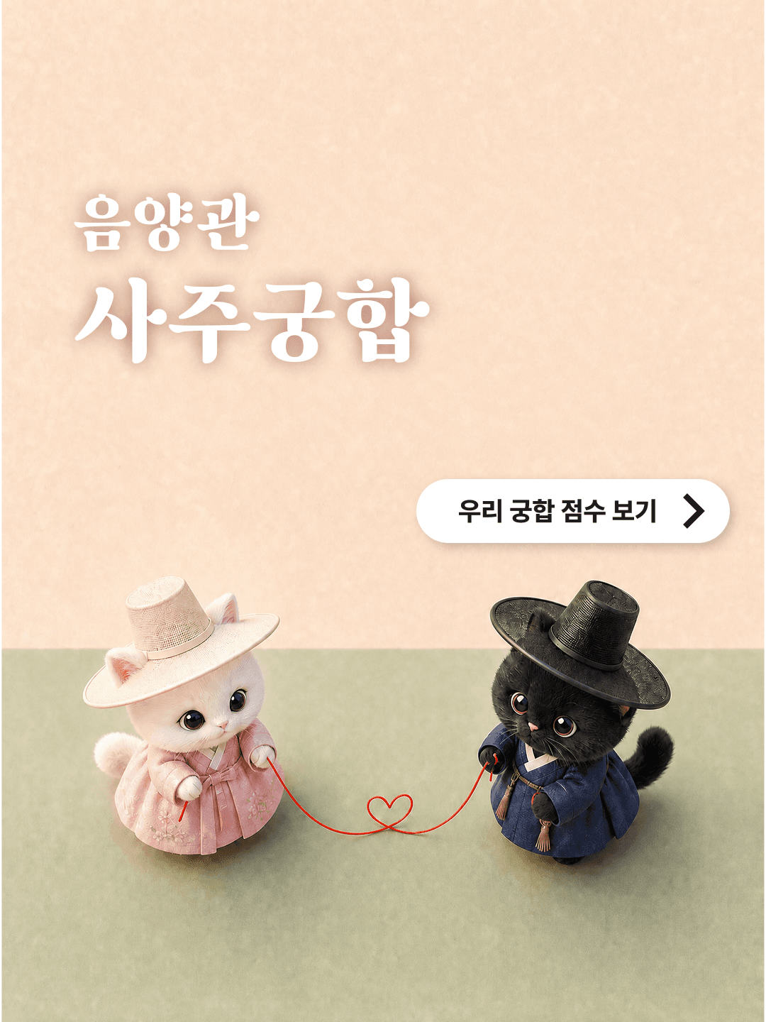 음양관 사주궁합